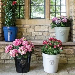 Woodlodge 41cm Blue Glazed Heritage Pot 5 Woodlodge 41cm Blue Glazed Heritage Pot -Primus Store 5021346424935 2