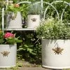 Woodlodge 29cm Wisteria Bee Cylinder Planter 1 Woodlodge 29cm Wisteria Bee Cylinder Planter -Primus Store 5021346427110 fa3cfc22 6889 45d8 b39f c047370bf042
