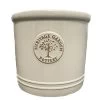 Woodlodge 38cm White / Cream Glazed Heritage Cylinder Pot -Primus Store 5021346500646 dfb0514a bf27 4b78 af9d 0fa14863b2b5