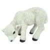 Vivid Arts 31cm Standing Lamb - XRL-LAMB-D 1 Vivid Arts 31cm Standing Lamb - XRL-LAMB-D -Primus Store 5055195015518