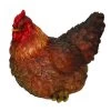 Vivid Arts 25.5cm Large Laying Hen - XRL-LAYh-D 2 Vivid Arts 25.5cm Large Laying Hen - XRL-LAYh-D -Primus Store 5055195016195