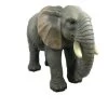 Vivid Arts 55cm Elephant Resin - XRL-ELPH-A -Primus Store 5055195016249