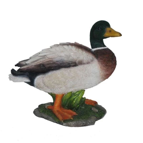 Vivid Arts 32cm Mallard Duck - XRL-MLLD-A 3 Vivid Arts 32cm Mallard Duck - XRL-MLLD-A