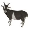 Vivid Arts 29cm Standing Goat- XRL-GOAT-D 1 Vivid Arts 29cm Standing Goat- XRL-GOAT-D -Primus Store 5055195017475