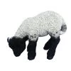 Vivid Arts 31cm Black / White Standing Lamb - XRL-BLLB-D 2 Vivid Arts 31cm Black / White Standing Lamb - XRL-BLLB-D -Primus Store 5055195017697