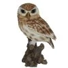 Vivid Arts 22cm Little Owl - XRL-LTWL-D 1 Vivid Arts 22cm Little Owl - XRL-LTWL-D -Primus Store 5055195019981 6c6be2ff 1f1b 44e8 9a32 cdc02d0af566