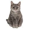 Vivid Arts 30cm Tabby Sitting Cat - XRL-SC33-B 2 Vivid Arts 30cm Tabby Sitting Cat - XRL-SC33-B -Primus Store 5055195020222