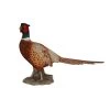 Vivid Arts 52cm Pheasant - XRL-NT04 -Primus Store 5055195020789 7ad3e4d2 7c33 4dad b878 58606602649f