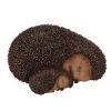 Vivid Arts 22cm Mother & Baby Hedgehog - XRL-HH07-B 1 Vivid Arts 22cm Mother & Baby Hedgehog - XRL-HH07-B -Primus Store 5055195023643