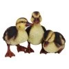 Vivid Arts 23cm Standing Duckling Group - NF-DK26-D 2 Vivid Arts 23cm Standing Duckling Group - NF-DK26-D -Primus Store 5055195023674