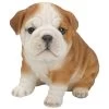 Vivid Arts 19cm Bulldog Puppy Pet Pals - PP-BDOG-F 2 Vivid Arts 19cm Bulldog Puppy Pet Pals - PP-BDOG-F -Primus Store 5055195025319