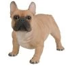 Vivid Arts 50cm Gold French Bulldog - XRL-FRBD-A -Primus Store 5055195025616