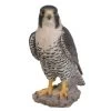Vivid Arts 25cm Peregrine Falcon - XRL-PFAL-B 1 Vivid Arts 25cm Peregrine Falcon - XRL-PFAL-B -Primus Store 5055195025807