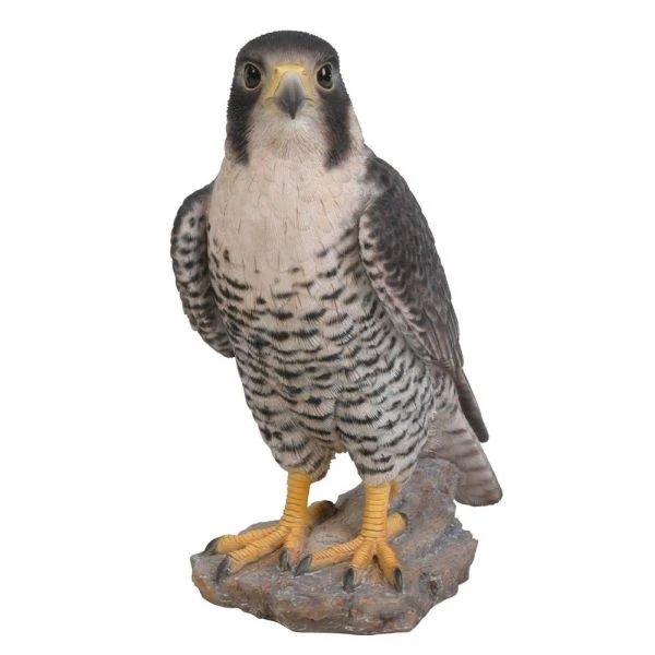 Vivid Arts 25cm Peregrine Falcon - XRL-PFAL-B 3 Vivid Arts 25cm Peregrine Falcon - XRL-PFAL-B