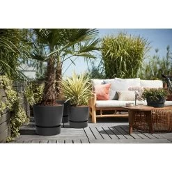 Elho 25cm Living Black Greenville Round Planter -Primus Store 8711904332334 4