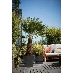 Elho 25cm Living Black Greenville Round Planter -Primus Store 8711904332334 5