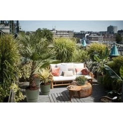 Elho 25cm Leaf Green Greenville Round Planter 11 Elho 25cm Leaf Green Greenville Round Planter -Primus Store 8711904332433 5