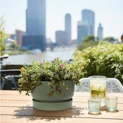 Elho 33cm Leaf Green Greenville Bowl Planter -Primus Store 8711904332464 4