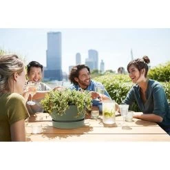 Elho 33cm Leaf Green Greenville Bowl Planter -Primus Store 8711904332464 5