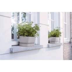 Elho 50cm Living Concrete Greenvillle Long Trough Planter -Primus Store 8711904358440 4